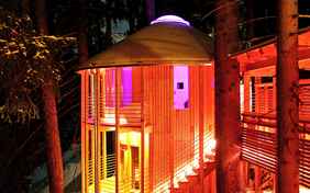 Die schöne Waldsaune